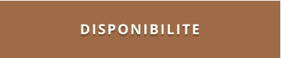 DISPONIBILITE